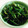 soratea's cooksnap of when they made おかひじきのマヨポン和え.