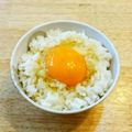 YUZVIO's cooksnap of when they made 昆布茶が効いてる卵かけごはん.
