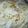 nontan0201's cooksnap of when they made ～簡単～*☆パスタ*うに入り*☆.