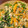 yotms's cooksnap of when they made ほうれん草の簡単白和え.