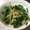まおち☆'s cooksnap of when they made モロッコいんげんともやしの和風ナムル。.