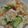 よし乃1987's cooksnap of when they made 定番のポテトサラダ.