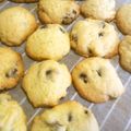 よしゴンクス's cooksnap of when they made 簡単❤チョコチップクッキー.