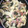 komomoten's cooksnap of when they made つるむらさきとエリンギの和風パスタ.