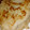 meise17's cooksnap of when they made 冷凍保存の活用で簡単・時短ポークピカタ.