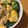 フランコ・フェニョール's cooksnap of when they made ふわたま！ブロッコリーのデリ風サラダ.