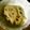 saorinrin2's cooksnap of when they made れんこんとベーコンのコンソメ炒め.