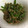 kimi1127's cooksnap of when they made ☆ピーマンとしらすの佃煮風☆.
