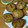 ズボラン大佐's cooksnap of when they made ふんわり～しっとり栗のケーキ.