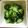 kaokaofood's cooksnap of when they made 浅漬けきゅうり.
