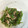 アイラナッバのママ's cooksnap of when they made ピーマンとツナの和え物.