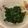 主婦T's cooksnap of when they made ピーマン揉み.