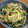 dogg's cooksnap of when they made 旬のみょうがで☆サラダ.