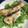 クックYAP2JX☆'s cooksnap of when they made ⭐︎タラのみぞれ餡掛け.
