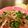 ☆糖質減らしてます☆'s cooksnap of when they made 牛肉のピーマンと長葱のニンニク醤油炒め♪.
