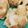 クックYZWNU6☆'s cooksnap of when they made 意外とカンタン♪ 手作りシュウマイ.