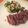 kaoritable's cooksnap of when they made 博多和牛のタリアータ　山葵ドレッシング.