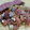 ゆきぱぱ♪'s cooksnap of when they made ＊旬の魚・鰤のなめろう＊.