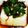クックPZD156☆'s cooksnap of when they made 手作りドレッシングで☆ワカメの中華サラダ.