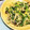 hiromysh's cooksnap of when they made 小松菜としめじのたまご炒め♪.