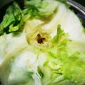 クック漣ちゃん's cooksnap of when they made 簡単楽チン！レタスの芯の抜き方♪.