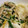 トマト大好きゆっこ's cooksnap of when they made ニラとえのきの卵とじうどん.