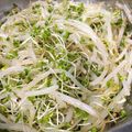 omyuo's cooksnap of when they made 超簡単！もやしのナムル.