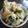 明日歩's cooksnap of when they made ブロッコリーでサクサク☆マヨチーズ焼き☆.