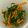 クックG8BQZV☆'s cooksnap of when they made にんじんとニラのナムル.