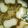 Jyohana's cooksnap of when they made 白だしお吸い物♪.
