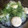 ごごんた's cooksnap of when they made 豆乳で作る 簡単！白玉冷やし汁粉.