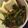 ecobeer's cooksnap of when they made 挽肉・ほうれん草・人参コチュジャンあえ♪.