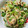 生まれは蜂蜜's cooksnap of when they made オクラとみょうがのさっぱりマヨポン♪.