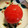 espoir12's cooksnap of when they made つるるん★最短！トマトの湯むき.
