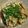かえる大先生's cooksnap of when they made 簡単レンジで茄子の大量ポン酢掛け.
