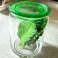 こうまさmam's cooksnap of when they made しその保存法♪.