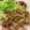 クックPX4GUB☆'s cooksnap of when they made たまねぎたっぷり生姜焼き！.