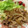クックPX4GUB☆'s cooksnap of when they made たまねぎたっぷり生姜焼き！.