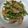 楓～Kaede～'s cooksnap of when they made じゃがいもとピーマンの味噌炒め.