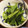 agnesあにえすb's cooksnap of when they made 小松菜のからしあえ♡隠し味をそえて.