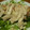 があここ's cooksnap of when they made 蒸して作る　簡単☆蒸し鶏.