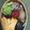 クックCRNP0Y☆'s cooksnap of when they made ５種のきのこの玄米炊き込みご飯.