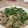 とんちゃんの妻's cooksnap of when they made 手軽にピーマンチャンプルー♪.
