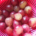 AKITON000's cooksnap of when they made ◆　巨峰の皮の剥き方　◆.