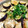 ノエル・ギャラガー's cooksnap of when they made ◆簡単♡夏さっぱり！！焼き茄子そうめん◆.