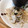 二角形's cooksnap of when they made イカともやしの磯和え.