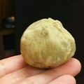 にこにことうま's cooksnap of when they made 栗きんとん.