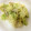 メイジももんじゃ's cooksnap of when they made エリンギとキャベツのオイマヨ炒め.
