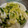 パン大好きっっ's cooksnap of when they made 白菜と胡瓜の塩昆布和え.