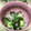 Starchild☆'s cooksnap of when they made 胡瓜とわかめとえのきの麺つゆ浸し.